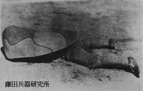 kame02.jpg (39046 �o�C�g)