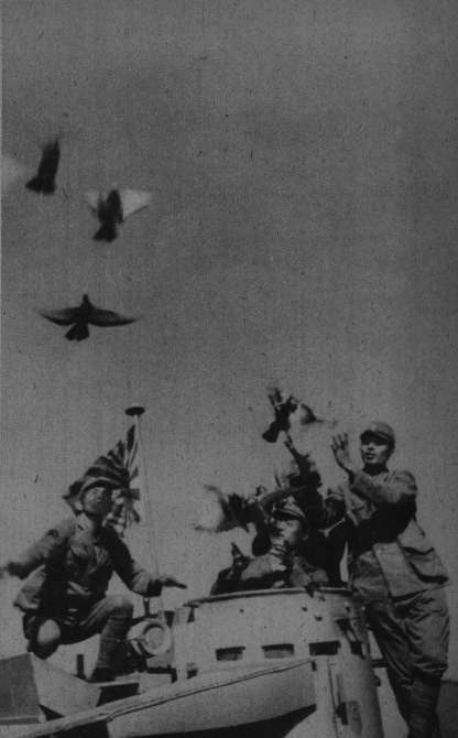 25t-03.jpg (24029 �o�C�g)
