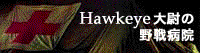 Hawkeye_bannar2.gif (5727 oCg)