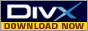 DivX����������ɥڡ�����