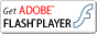 FlashPlayer����������ɥڡ�����