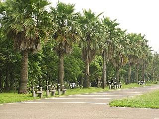 shiokaze.park2