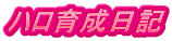 n琬L
