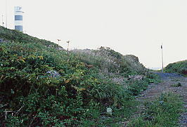 神威岬灯台下の興浜北線廃線跡