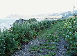 神威岬の廃線跡