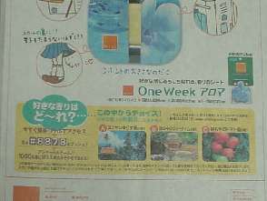 やっぱ見づらいっすか？