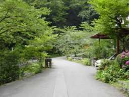 養老の滝10