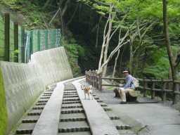 養老の滝13