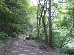 養老の滝24