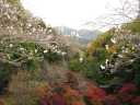 緑の公園から南の山並みを望む